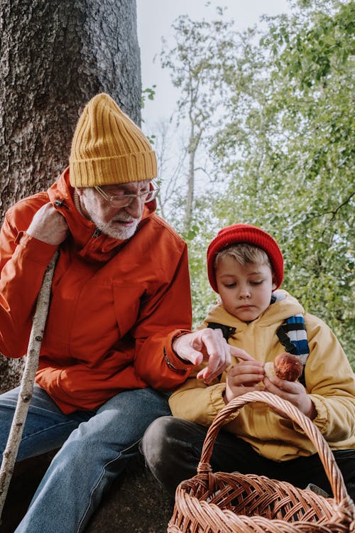 A grandfather and grandson enjoy quality time picking mushrooms in the forest, emphasizing nature and bonding.
