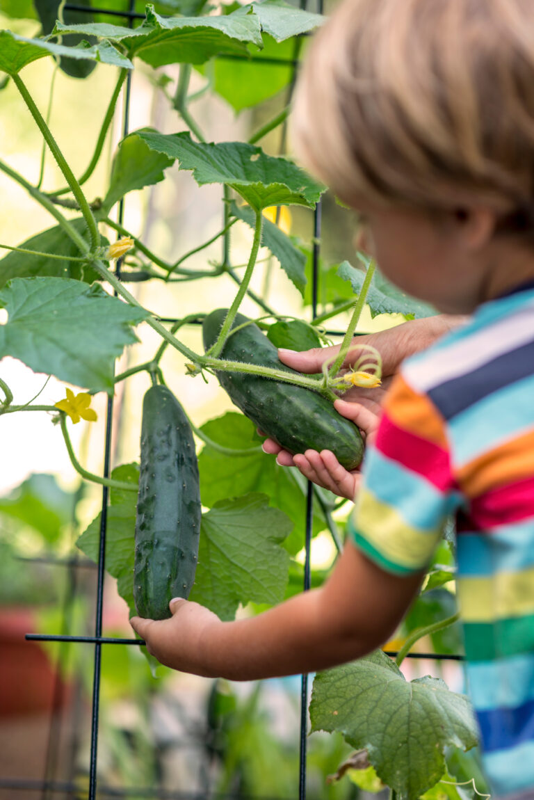 Gardening with Kids
