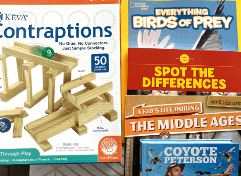 The Best Way to Choose Curriculum for Kids Who Learn Differently The Best Way to Choose Curriculum for Kids Who Learn Differently