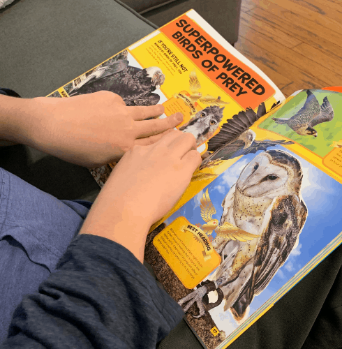 The Best Way to Choose Curriculum for Kids Who Learn Differently The Best Way to Choose Curriculum for Kids Who Learn Differently