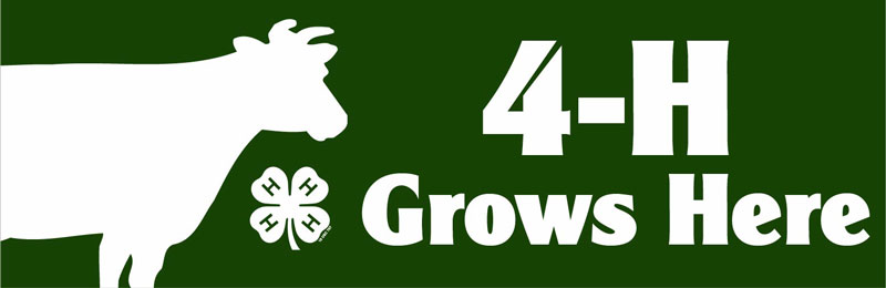 4-H Bumper stickers