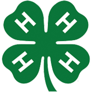 4-H logo
