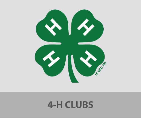4-H club custom t-shirts