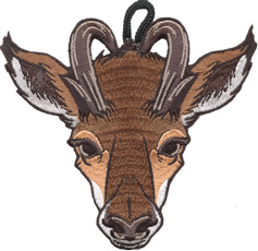 Wood Badge Antelope critter head patch