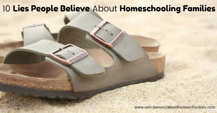 lies people believe about homeschooling lies people believe about homeschooling