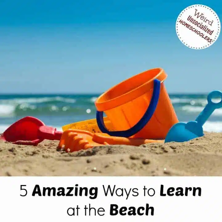 beach toys