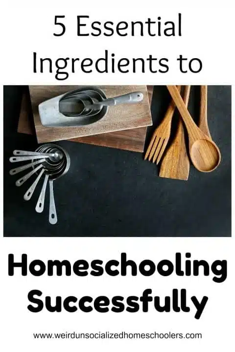 5 Essential Ingredients to Homeschooling Successfully 5 Essential Ingredients to Homeschooling Successfully
