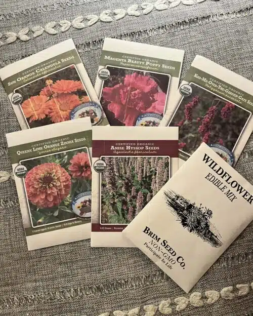 Gardening with kids