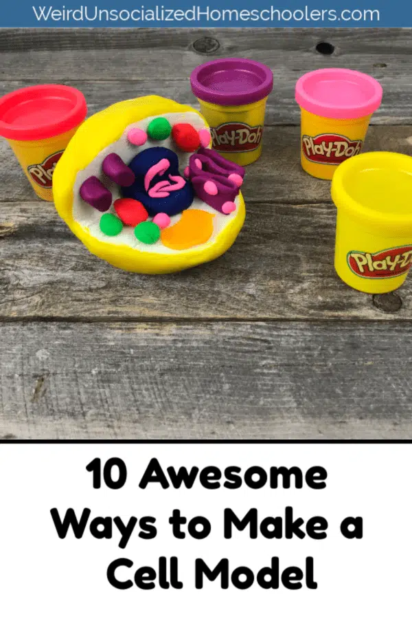 play doh cell model