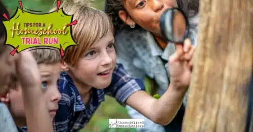 Tips for a Summer Homeschool Trial Run
