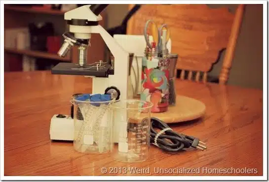 homeschool science equipment homeschool science equipment