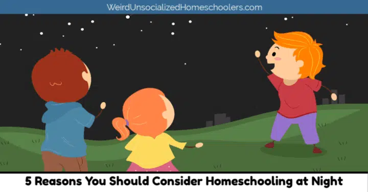5 Reasons You Should Consider Homeschooling at Night 5 Reasons You Should Consider Homeschooling at Night