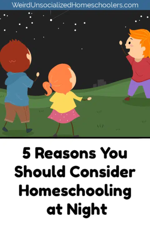 5 Reasons You Should Consider Homeschooling at Night 5 Reasons You Should Consider Homeschooling at Night