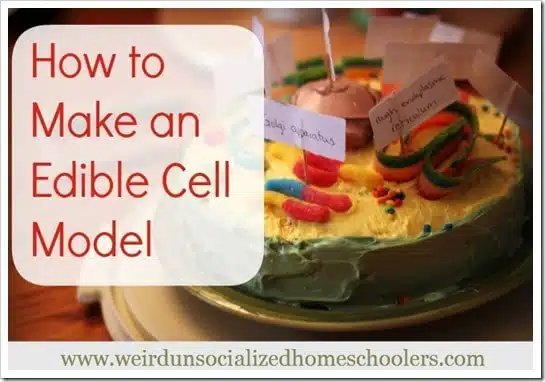 How to Make a Cell Model Cake How to Make an Edible Cell Model