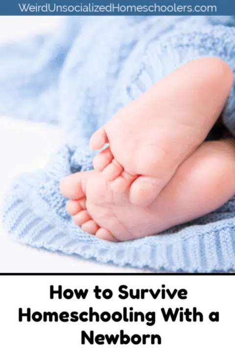 How to Survive Homeschooling With a Newborn How to Survive Homeschooling With a Newborn