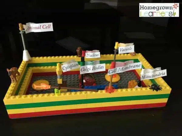 lego animal cell model lego animal cell model