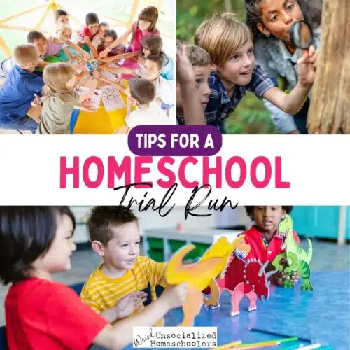 Tips for a Summer Homeschool Trial Run homeschool trial run