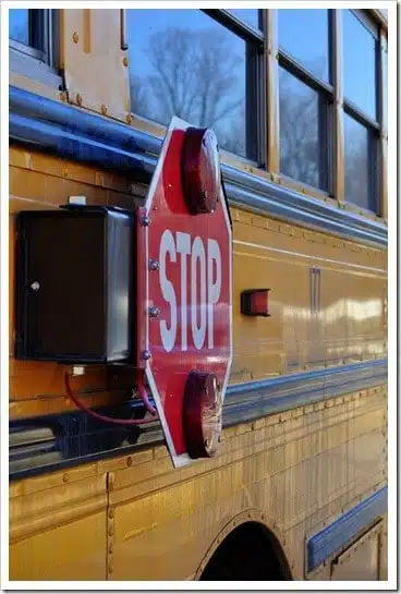 school bus school bus