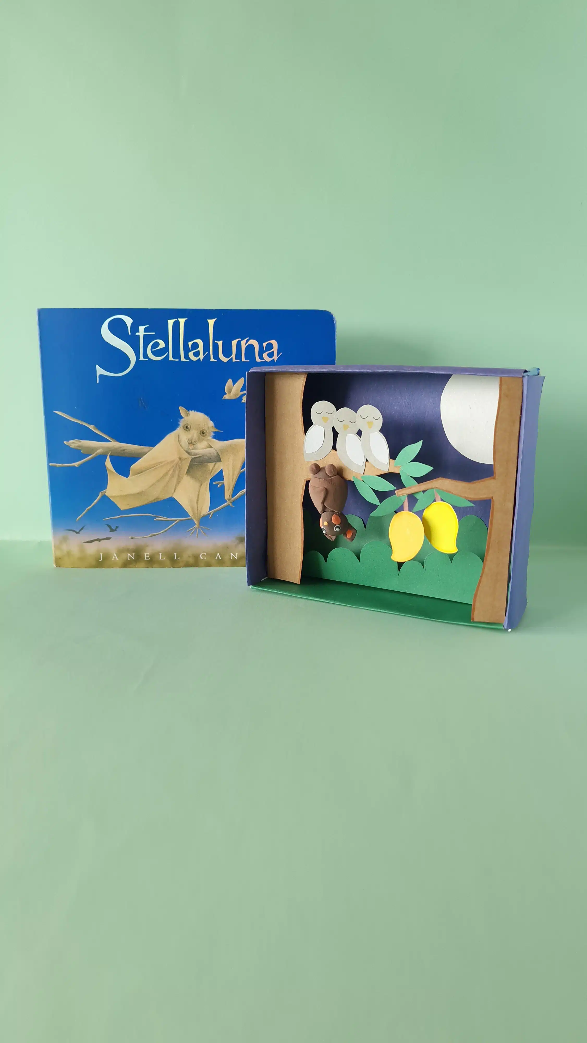 Stellaluna Diorama and Mini Unit Study