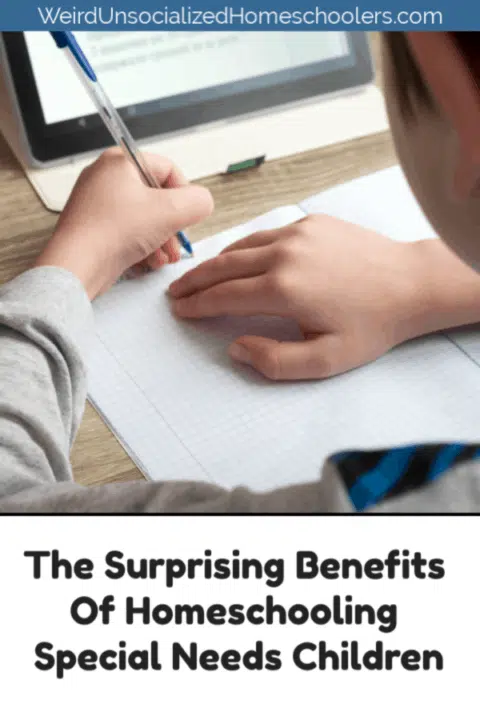 The Surprising Benefits Of Homeschooling Special Needs Children The Surprising Benefits Of Homeschooling Special Needs Children