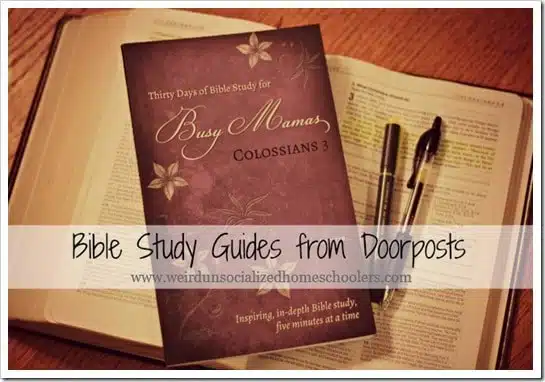 Thirty Days of Bible Study for Busy Mamas and Because You Are Strong for boys 12 and up Thirty Days of Bible Study for Busy Mamas and Because You Are Strong for boys 12 and up