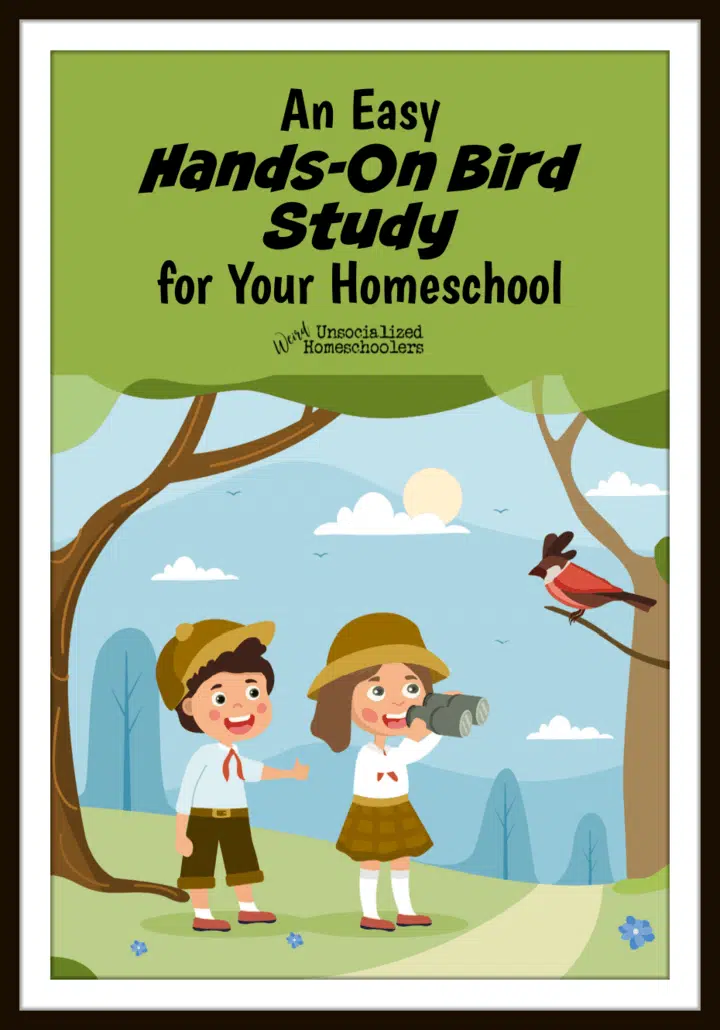kids birdwatching